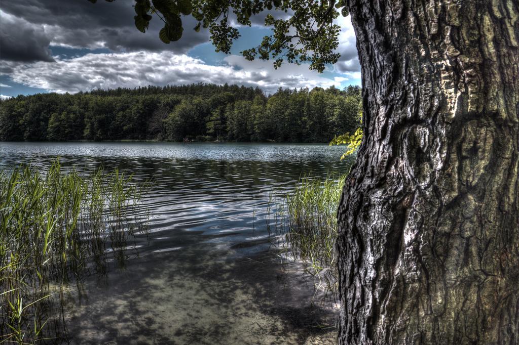 Hotel Am Liepnitzsee Вандліц Екстер'єр фото